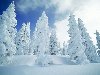 Фотографии природы :: Красивые зимние пейзажи фото 0