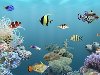 Aquarium Live Wallpapers -     Android, ...