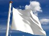 Необычные флаги: Белый флаг Белый флаг является всемирно признанным символом ...