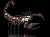 3D Графика - Черный скорпион