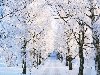 kiddyzoom: самые красивые фото снега-12