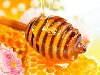 Как выбрать качественный мед Мед – один из самых ценных для здоровья ...