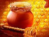 ДП «Кремінське лісомисливське господарство» реалізує мед оптом