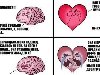 мозг, сердце и любовь. Картинки и фото