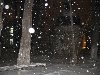 Киев, ночь, снег