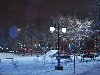 Сыпала ночь снег рваной подушкой луны