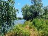 Река Турунчук / природа, отдых, пейзаж, река, камыш, лодка, речка