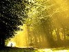 Ларс ван де гур: солнечный свет (15 фото)