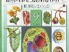 Учебник по биологии для 9 класса u0026quot;Введение в общую биологию и экологию.