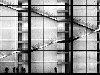 Лестницы-графики: умиротворяющие черно-белые снимки Кая Циля