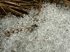 Обское море. 25 марта 2012. Симфония льда и снега. Весенний снег-лед.