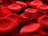 Отделение переливания крови является структурным подразделением Центра, ...