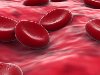 ... Канадские ученые «обезличили» клетки крови. Напомним, что группу крови и ...