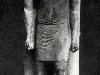 44 а. Статуя вельможи Ранофера из его гробницы в Саккара. Известняк. V ...
