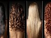 От чего зависит цвет наших волос, и почему мы всё чаще сталкиваемся с ...