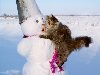 Re: Снежные приколы ... навеянно погодой )))