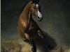 ... арабской чистокровной лошадью, — древняя порода верховых лошадей, ...