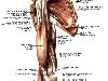 Частично эта мышца прикрепляется к капсуле плечевого сустава, ...
