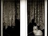 Подборка фотографий кошек сидящих на окнах.