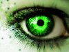 Зеленые глаза самые красивые. Самое прекрасное у человека — это глаза…