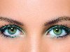 Еще с давних времен зеленый цвет глаз считался колдовским.