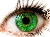 Самые прикольные статусы про зеленые глаза | prikolnye-smeshnye.ru