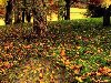 novprospekt — «Анимация падающих осенних листьев. Листопад. Анимация.gif» на ...