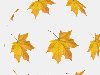NATALI — «Урок от NATALI:Кружат листья(анимация)» на Яндекс.Фотках