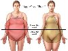 25,0 - 29,9 – избыточная масса тела более 30 - ожирение