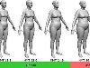Индекс массы тела для женщин