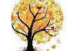 Красочные дерево осенью на белом фоне Фото со стока - 10439965