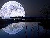 Обои картинки фото природа, ночь, луна, полная, дерево, вода, отражение