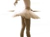 Ритм танца и пластика балета. В самом начале 20-го века хореография на ...