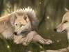 Волки из аниме волчий дождь Пара красивых волков в аниме стиле