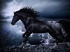 Широкоформатные обои Черный конь у моря, Черный конь на обрыве скалы у моря
