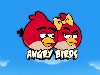  Angry Birds   Love Is