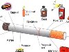 состав табачного дыма При горении табачных продуктов образуются основной и ...