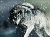 Раненый волк зимой Обои - 2560x1600.