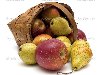 Яблоки и груши в перевёрнутой корзине - Стоковое изображение