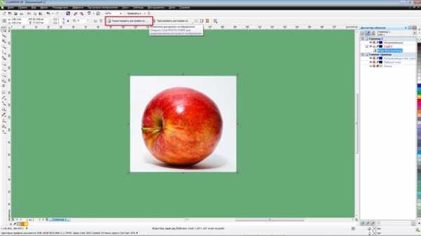 Как сделать яблоко в coreldraw