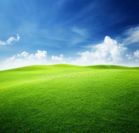 Картинка небо и трава для детей