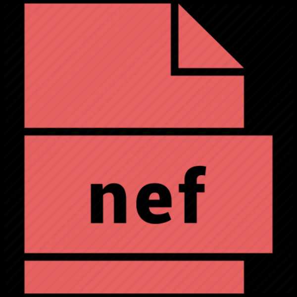 Для чего нужны файлы формата nef