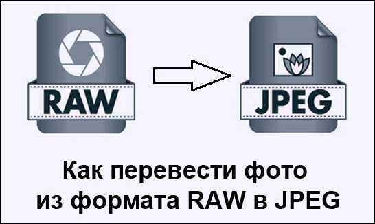 Как хранить raw файлы