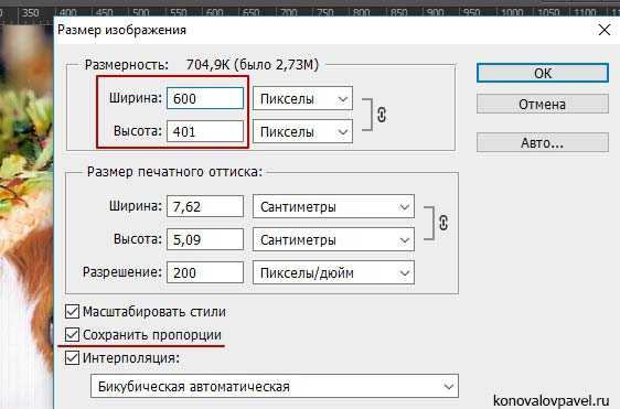 Размер горизонтальной картинки фотошоп