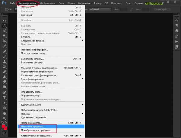 Цветовой профиль в фотошопе. Профиль для фотошопа. Преобразовать в профиль в фотошопе. Фото в профиль.