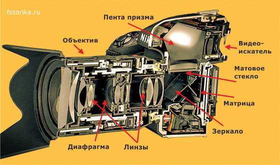 Основы фотографии на зеркальный фотоаппарат