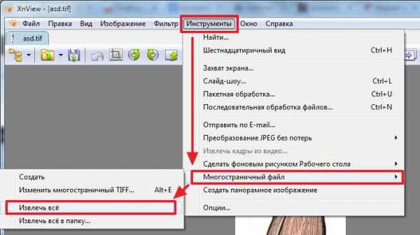 Многостраничный файл tif показывает только одну страницу