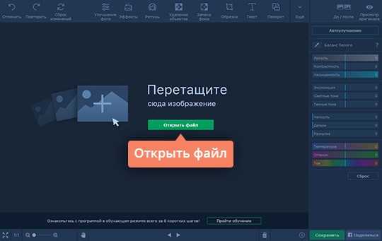 Убрать фон онлайн бесплатно remove