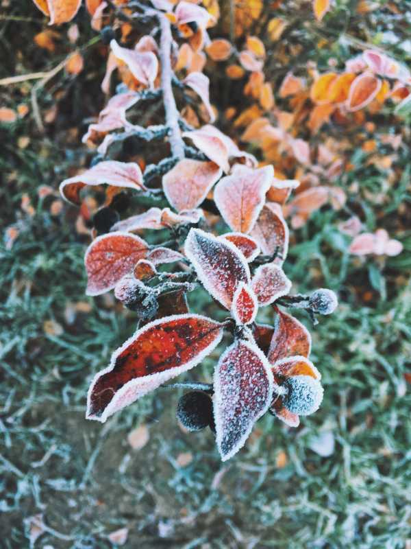 Улучшить качество размытой фотографии онлайн